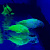 Коридорас (GloFish) Зеленый светящийся